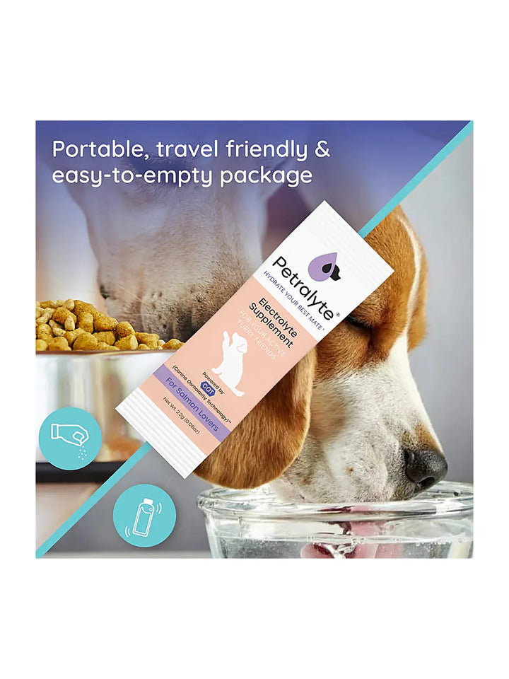 Dog Electrolyte and Joint Supplement, Salmon flavored.