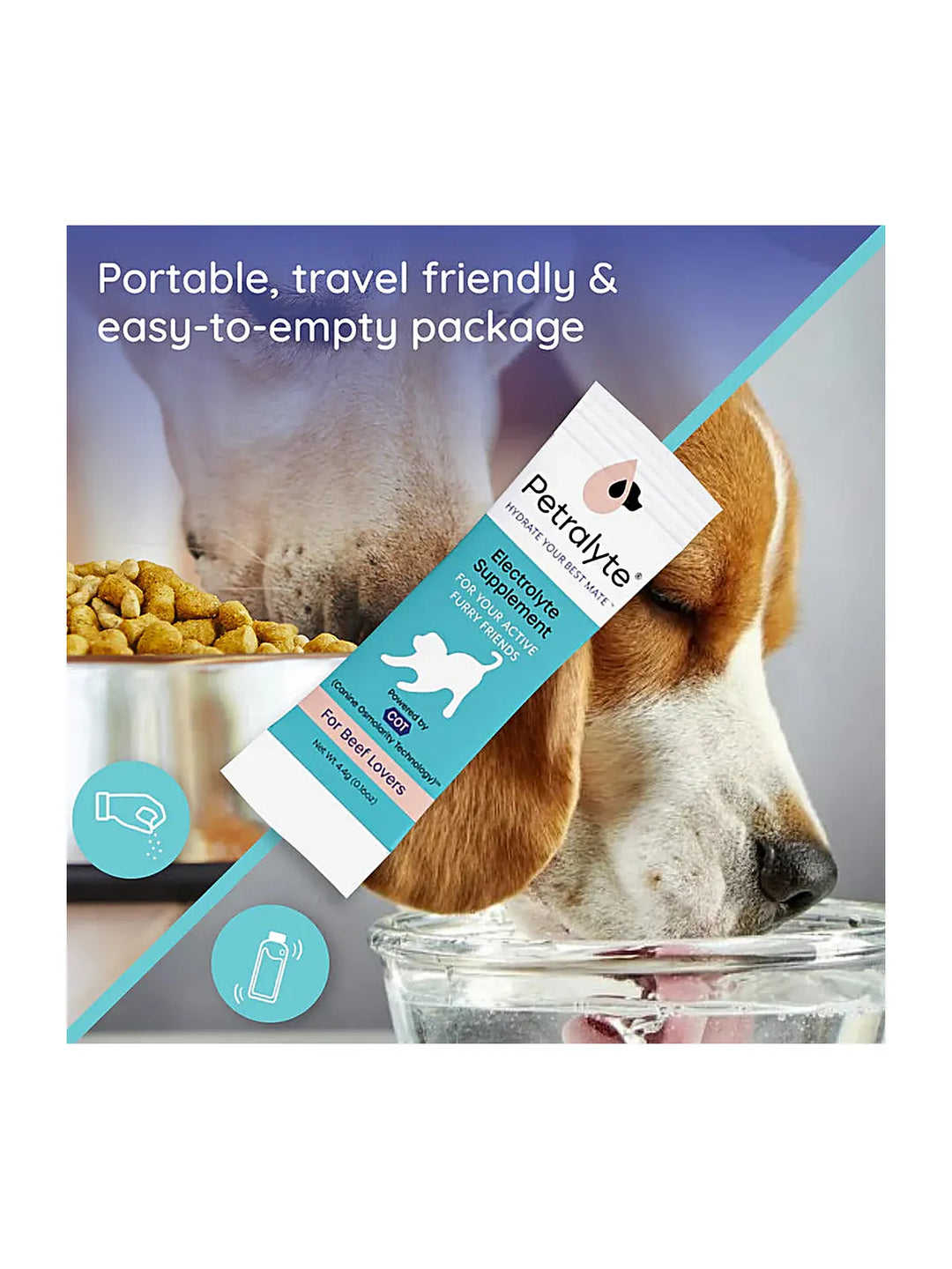 Dog Electrolyte and Joint Supplement , Beef flavored