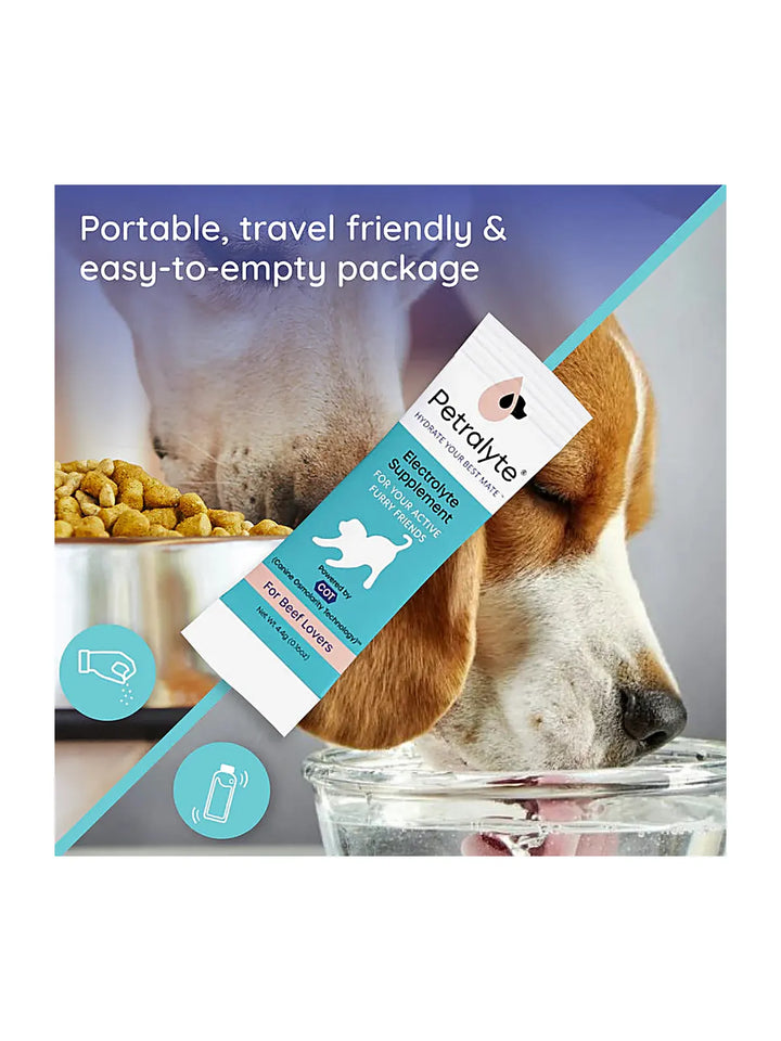 Dog Electrolyte and Joint Supplement , Beef flavored