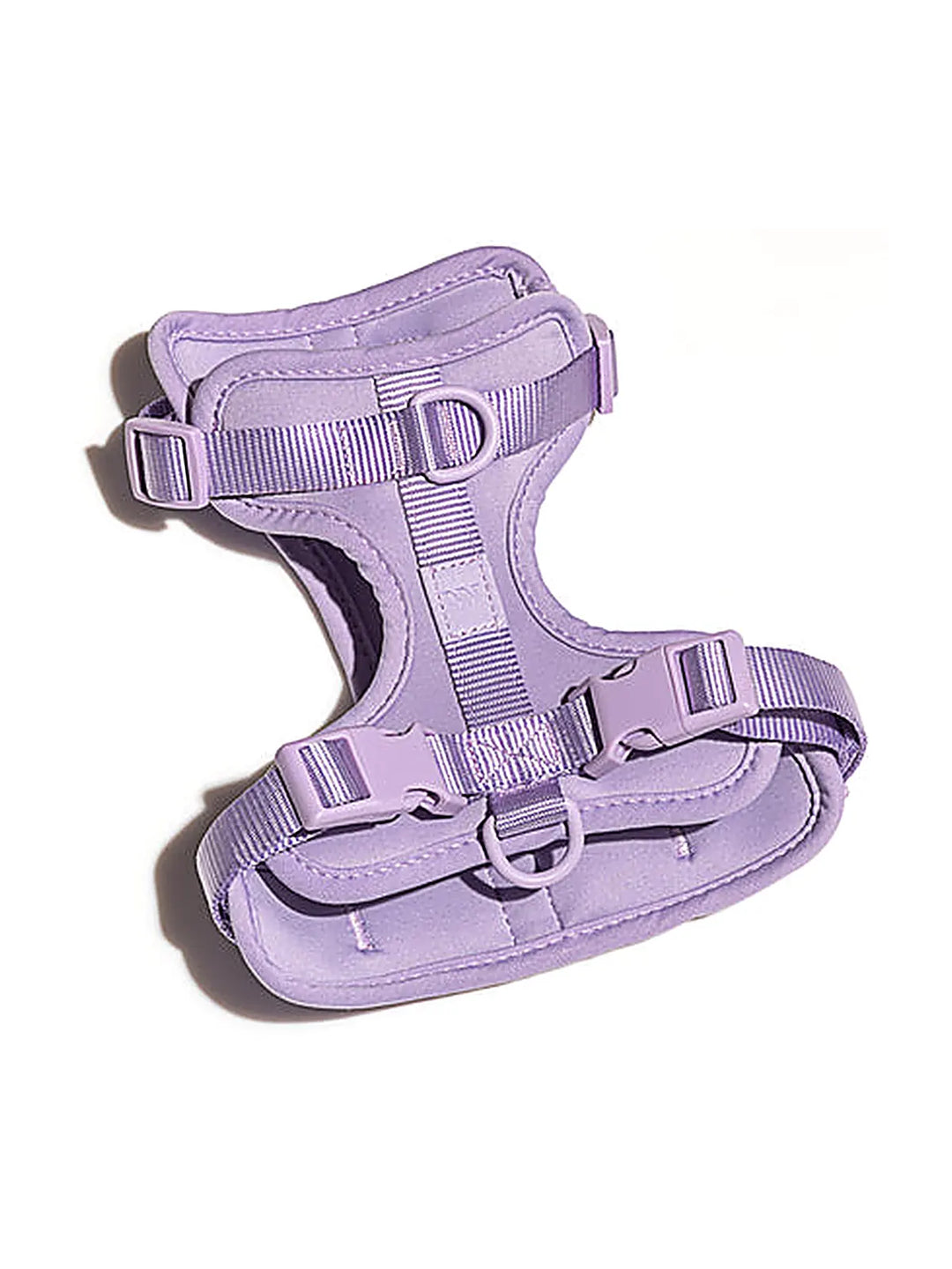 Dog Harness