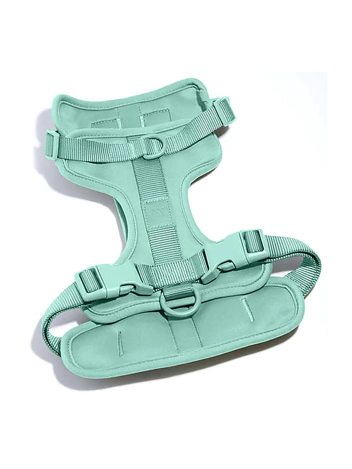 Dog Harness