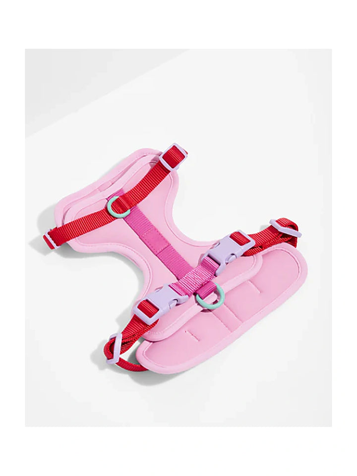 Dog Harness