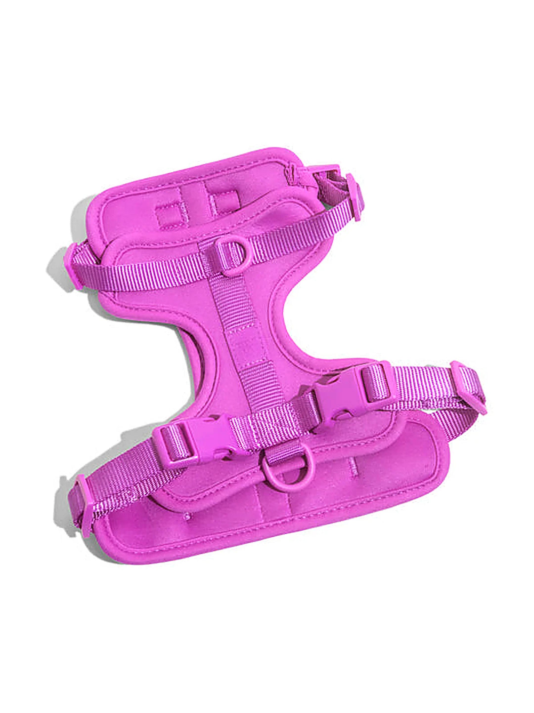 Dog Harness