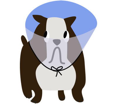 DOG HEALTH