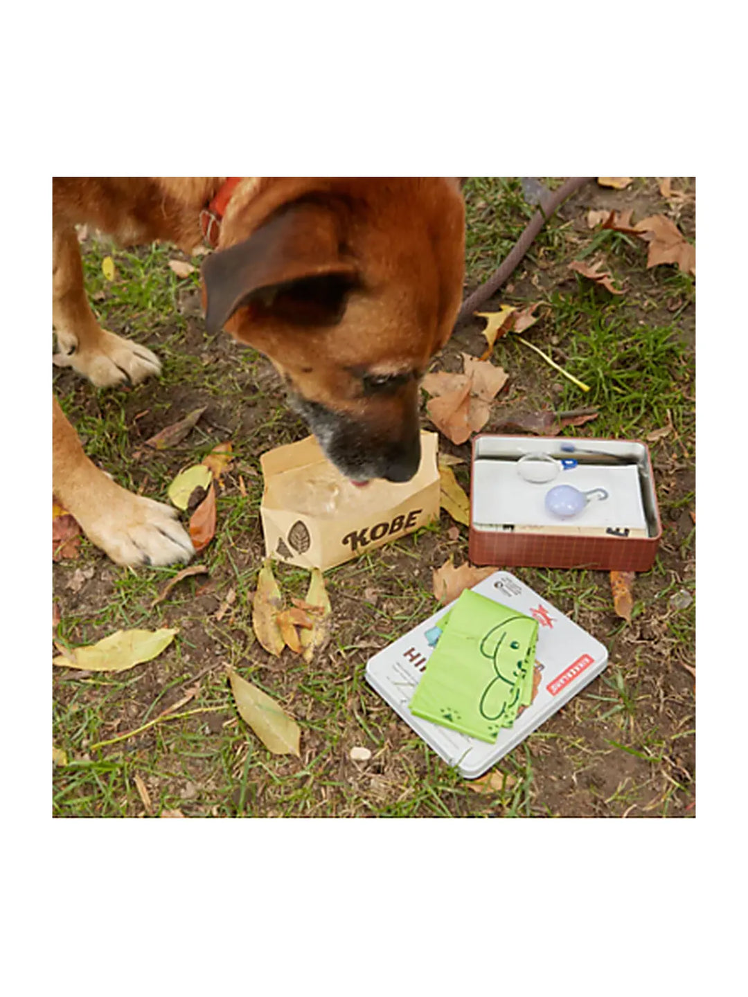 Dog Hiking Kit