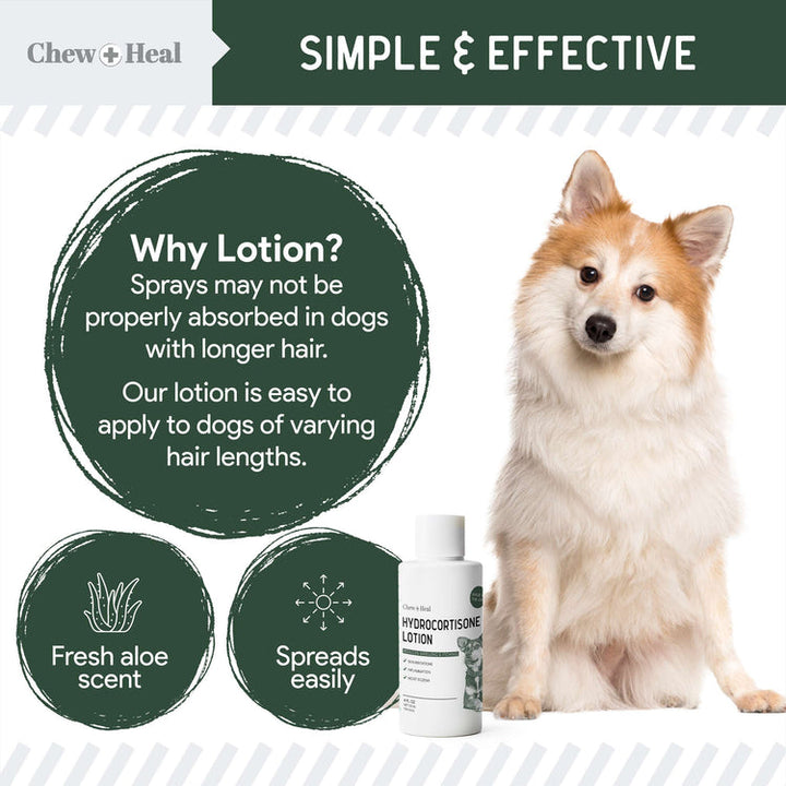 Hydrocortisone Lotion for Dogs 4oz