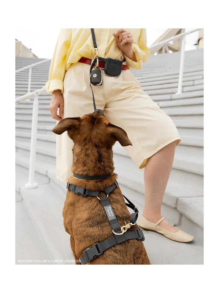 Cloud Lite Dog Harness