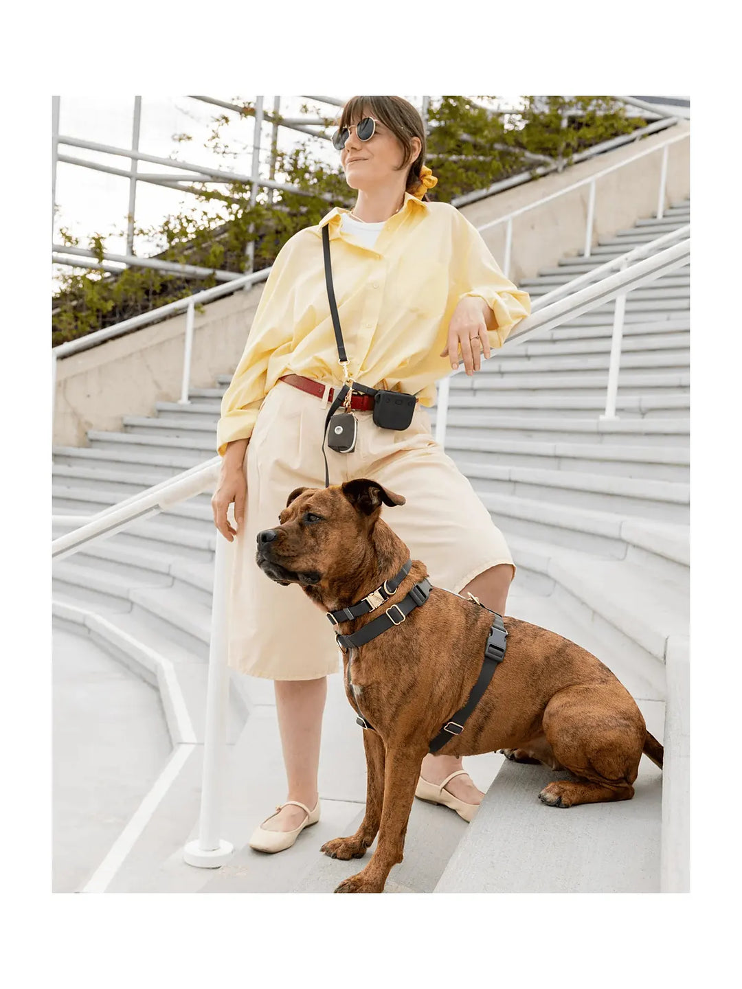 Cloud Lite Dog Harness