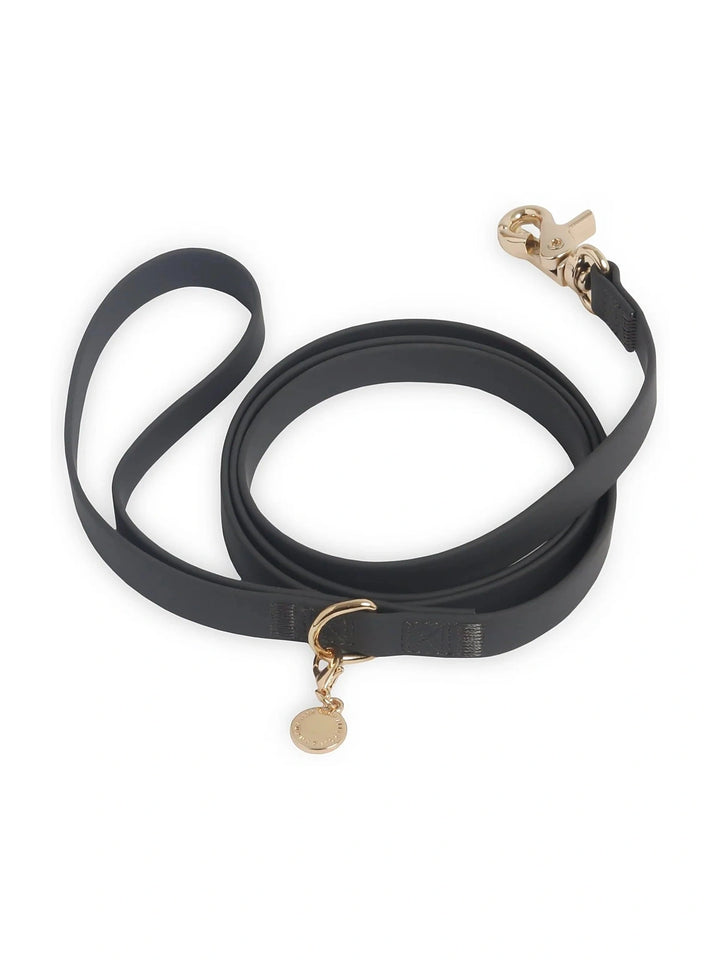 Waterproof Cloud Dog Leash (4 feet)