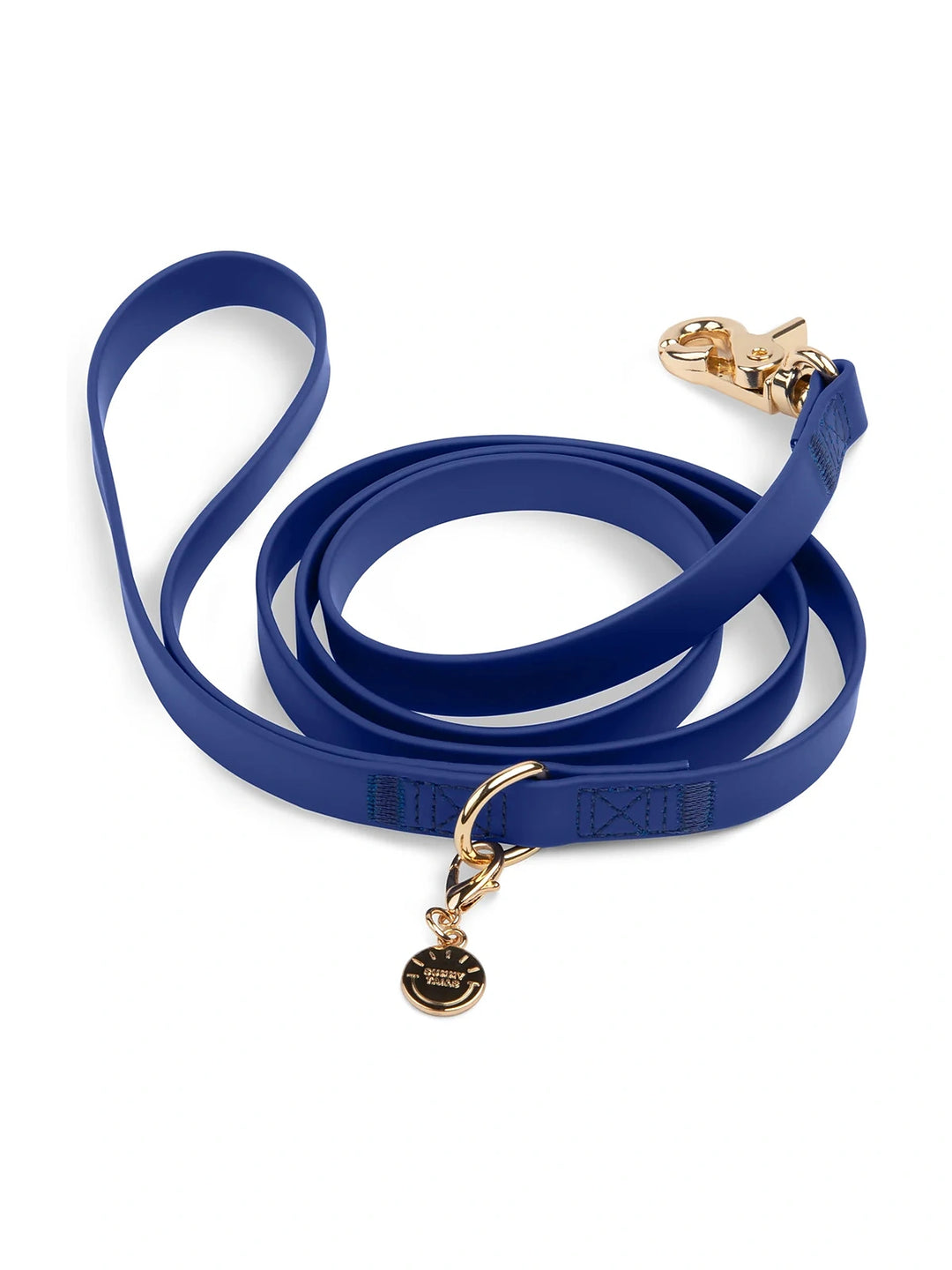 Waterproof Cloud Dog Leash (4 feet)