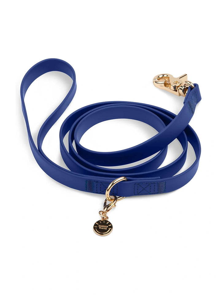 Waterproof Cloud Dog Leash (4 feet)
