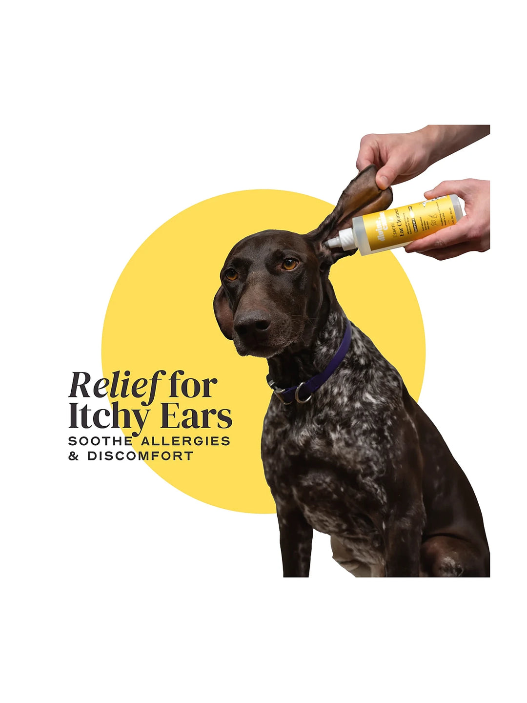 Essential Ear Cleanser