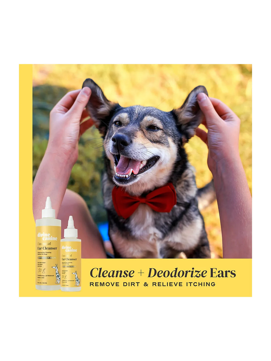 Essential Ear Cleanser