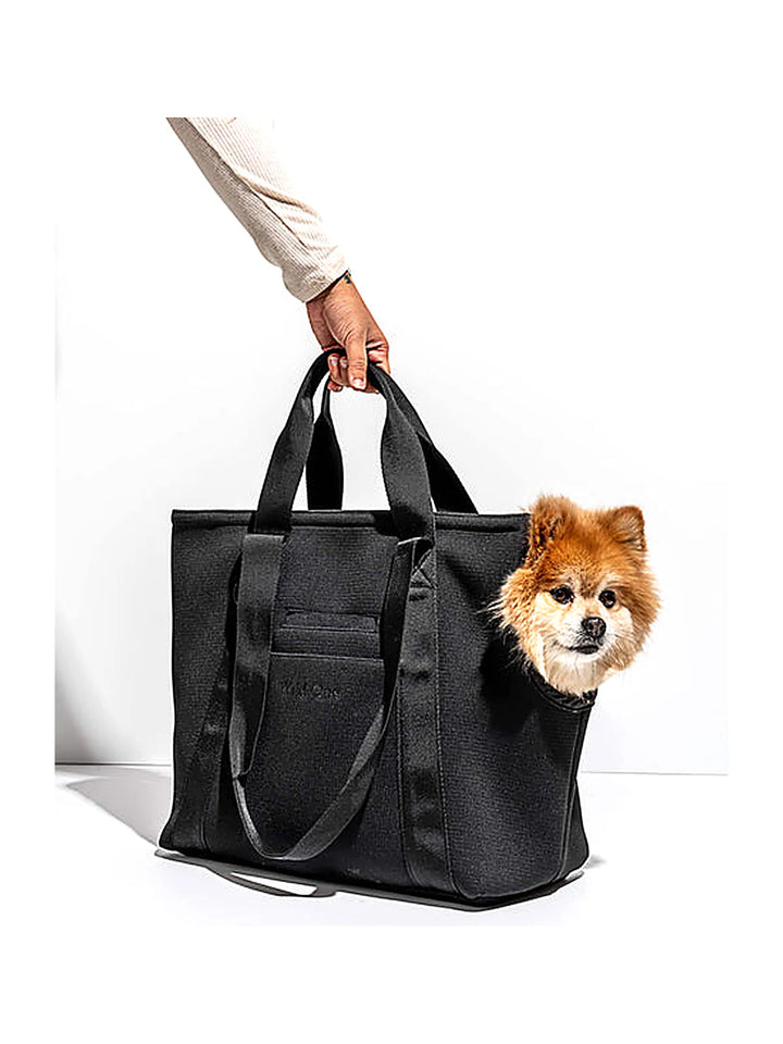 Everyday Carrier