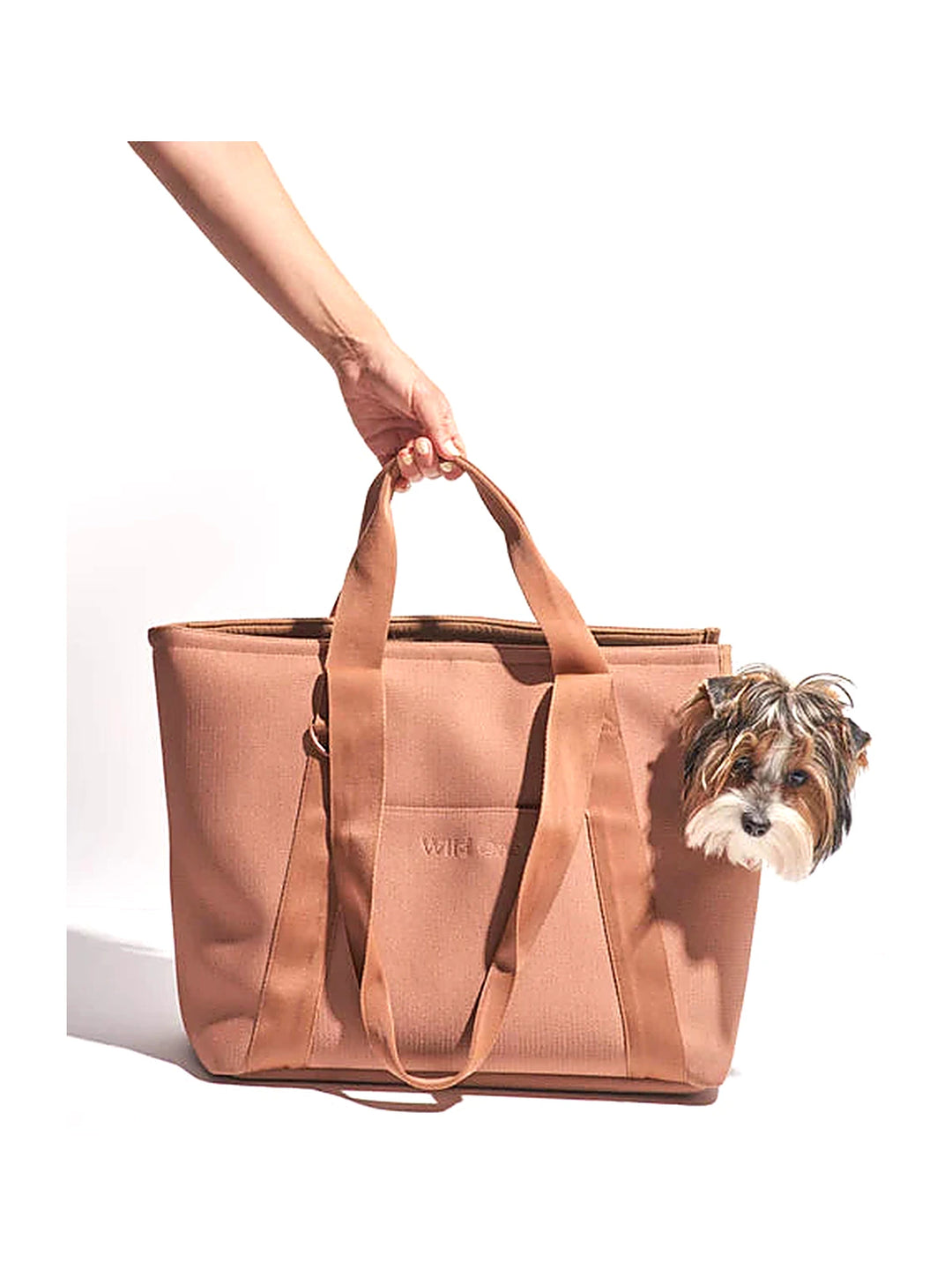 Everyday Carrier