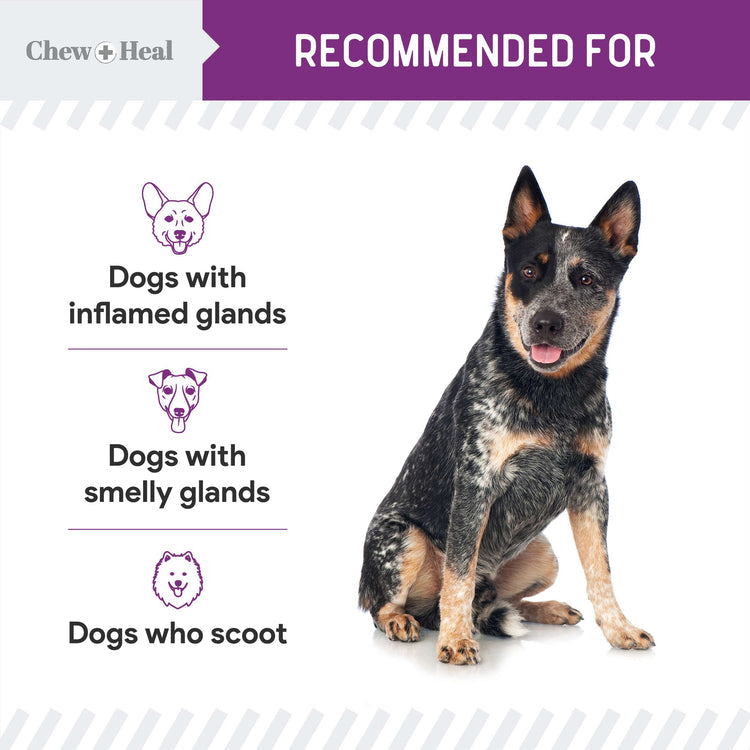 Stop the Scoot Anal Gland Support & Bowel Function Supplement for Dogs - Chews