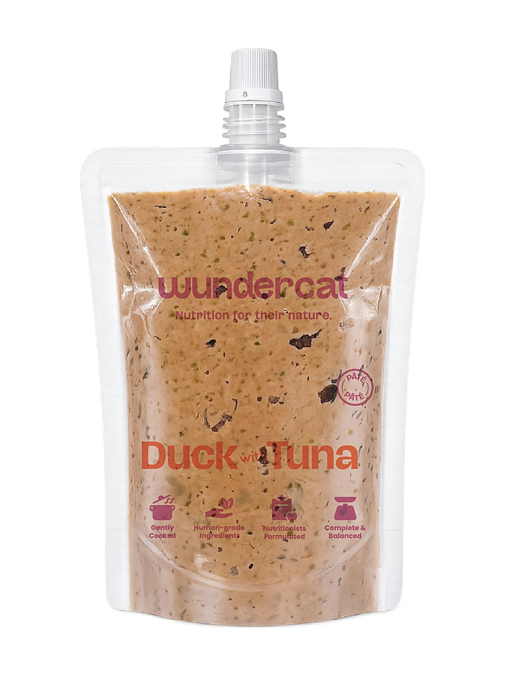 Duck with Tuna Pâté 80gm