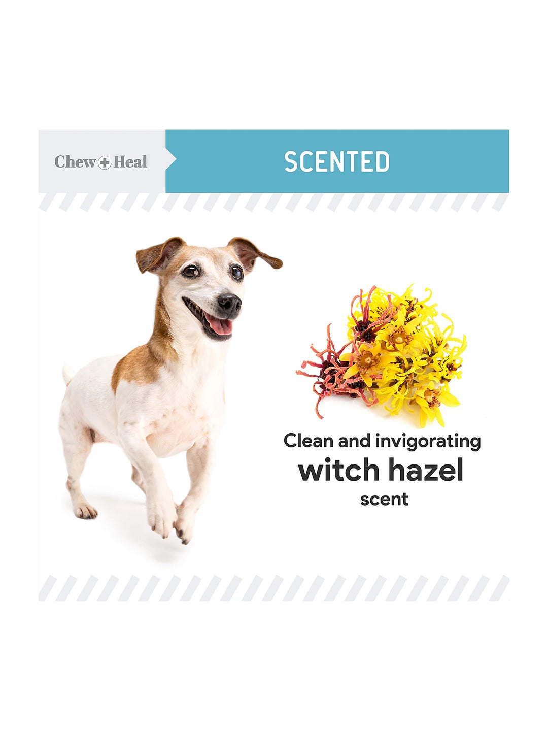 Fresh Scent, Soothing Aloe, Witch Hazel & Tea Tree Oil Dog Ear Cleaner 4oz