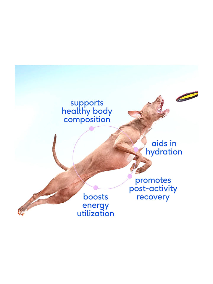 Goat Milk - Fuels active pups + promotes recovery