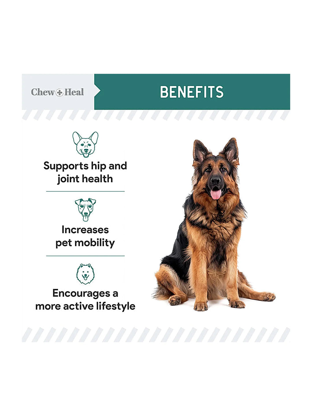 Green Lipped Mussel Powder Joint & Ligament Health Supplement for Dogs & Cats (2.12 oz)