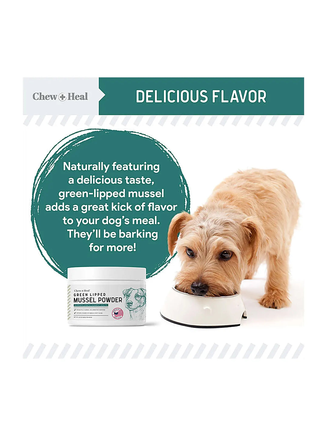 Green Lipped Mussel Powder Joint & Ligament Health Supplement for Dogs & Cats (2.12 oz)