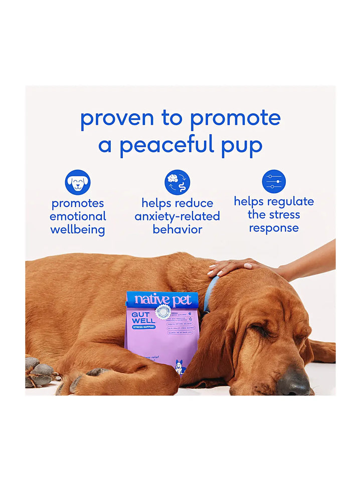 GutWell Stress Support