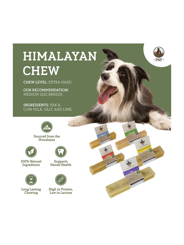 Himalayan Chew Medium