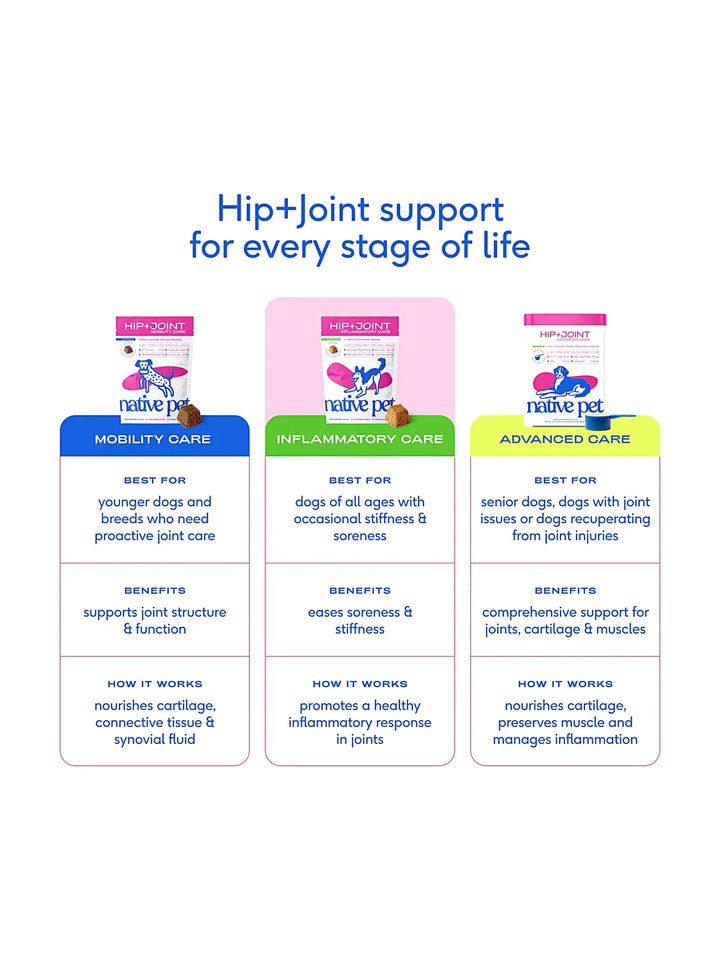 Hip+Joint Inflammatory Care