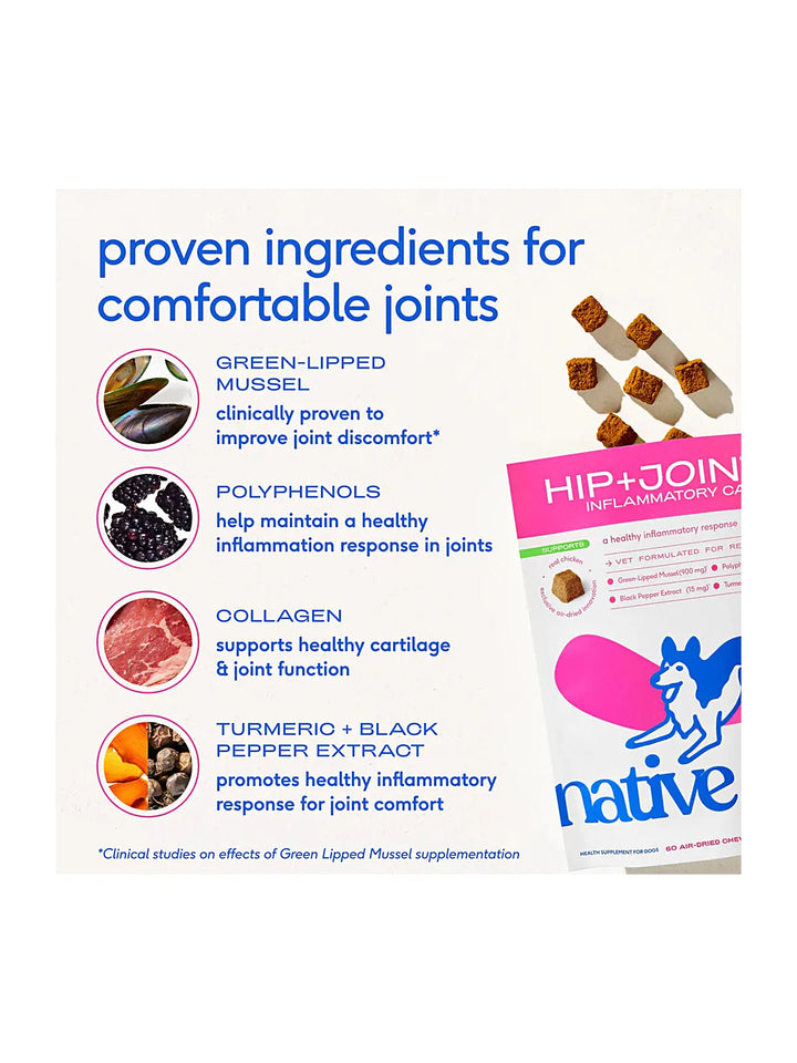 Hip+Joint Inflammatory Care