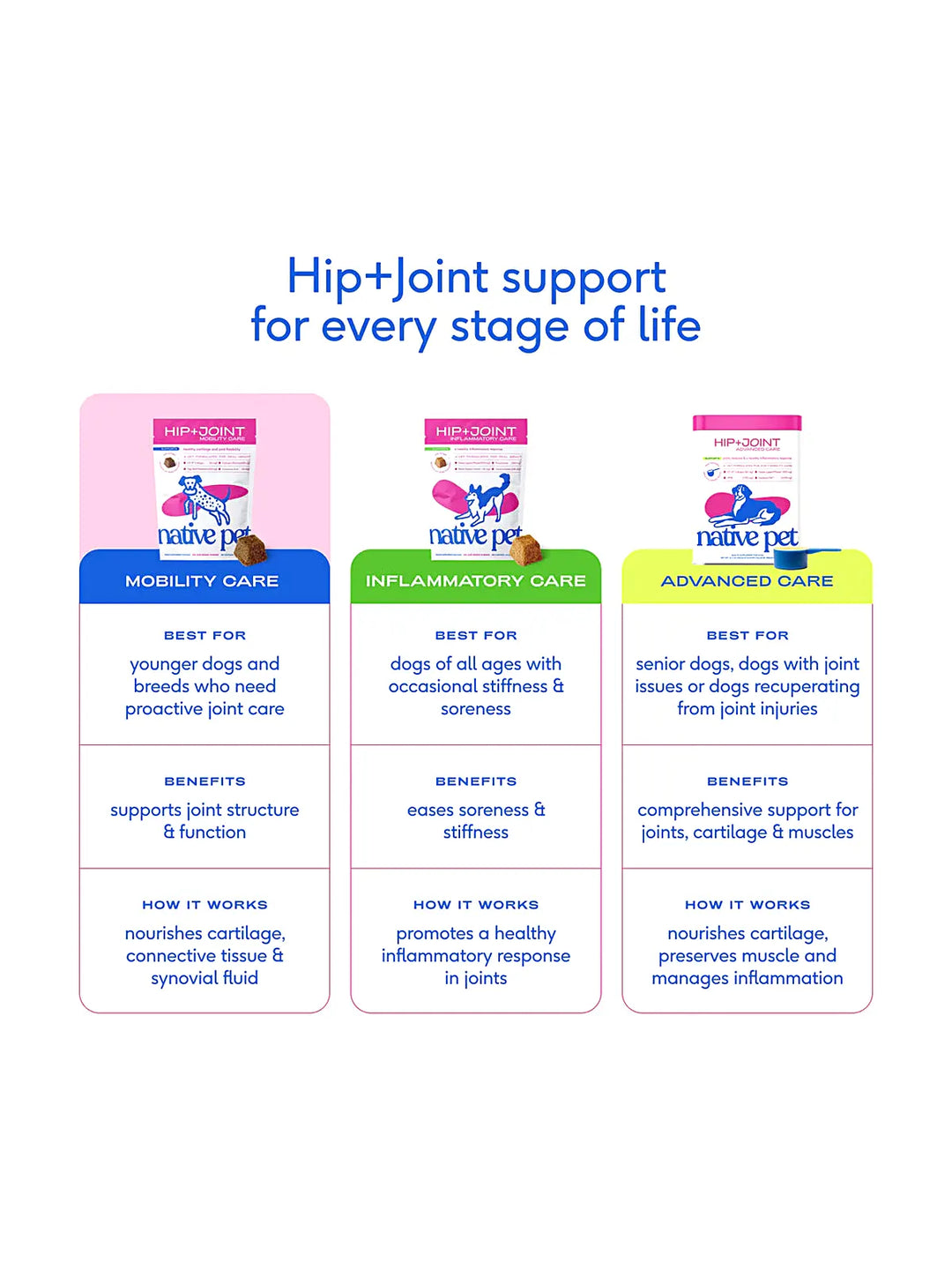 Hip+Joint Mobility Care
