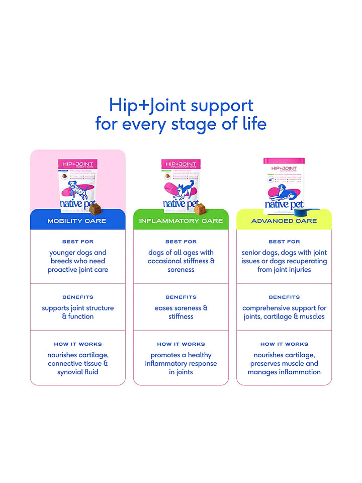 Hip+Joint Mobility Care