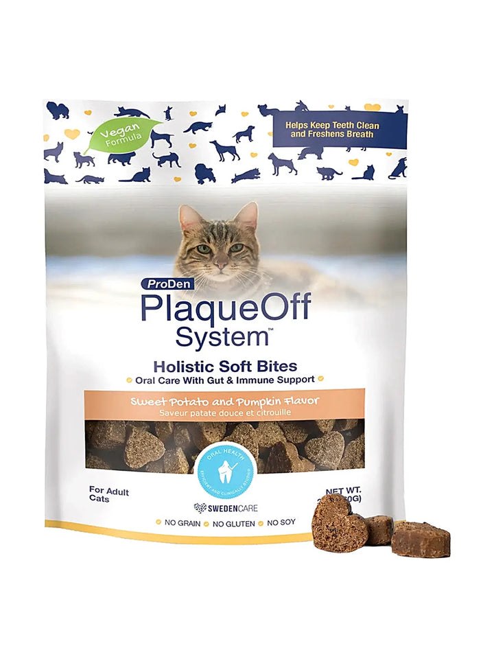 Holistic Soft Bites - Oral Care with Gut & Immune Support Sweet Potato and Pumpkin Flavor
