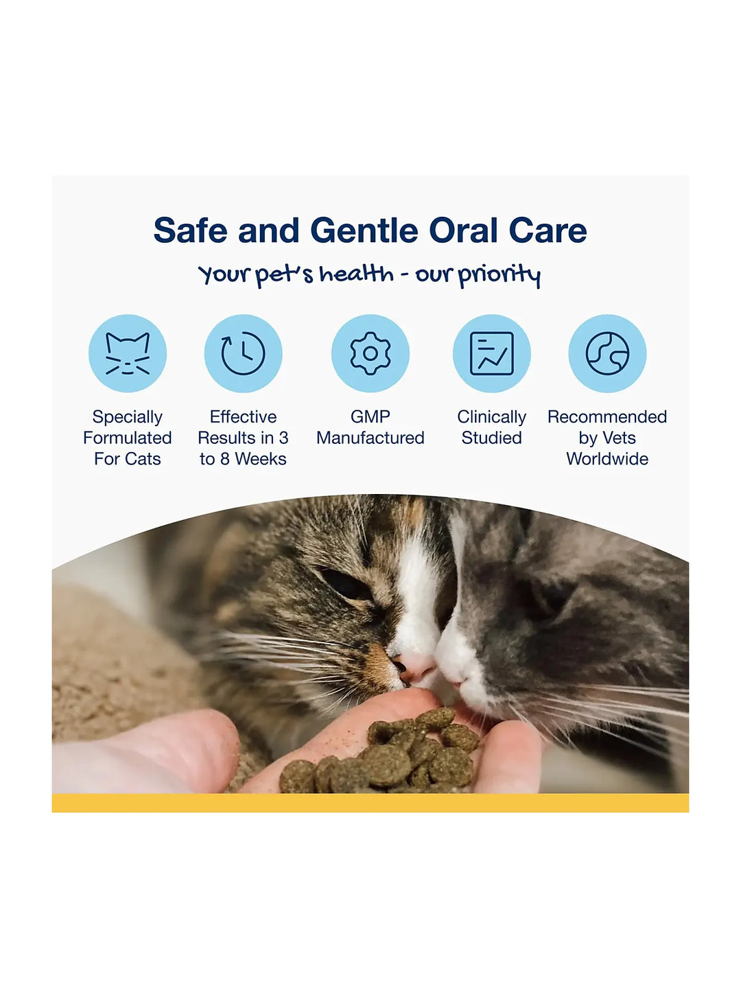 Holistic Soft Bites - Oral Care with Gut & Immune Support Sweet Potato and Pumpkin Flavor