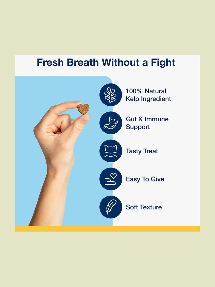 Holistic Soft Bites - Oral Care with Gut & Immune Support Sweet Potato and Pumpkin Flavor