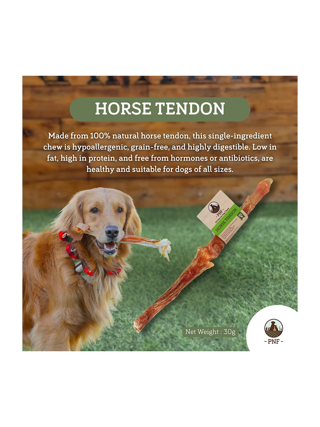 Horse Tendon
