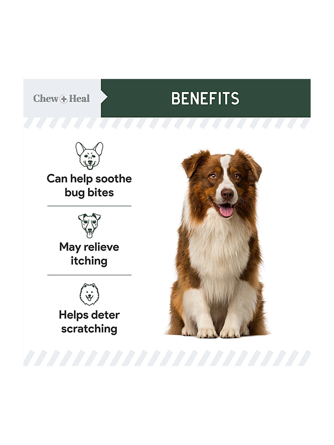 Hydrocortisone Lotion for Dogs 8oz