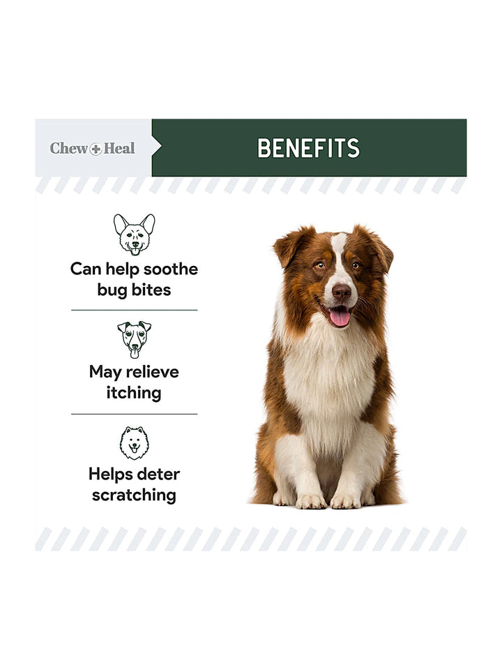 Hydrocortisone Lotion for Dogs 8oz