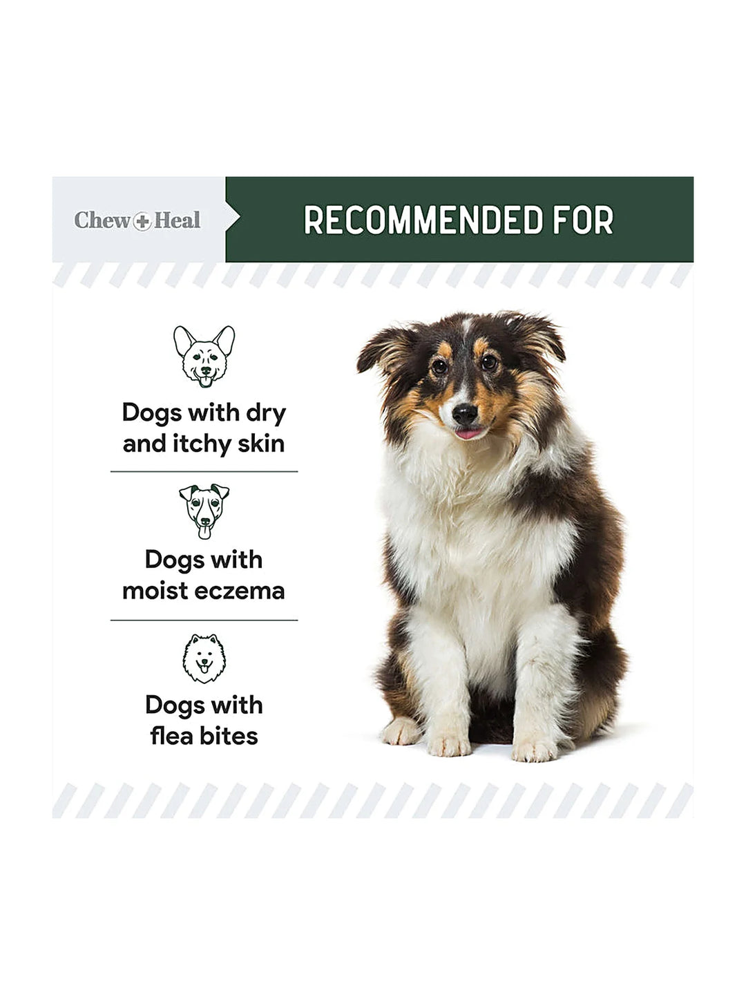 Hydrocortisone Lotion for Dogs 8oz