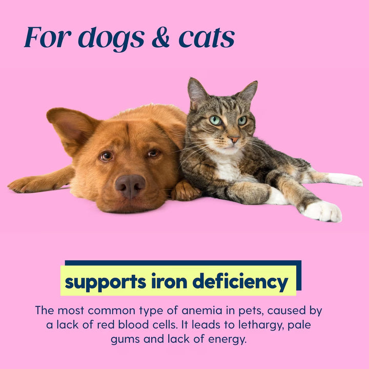 Taily Iron Supplement for Dogs & Cats, 4 oz