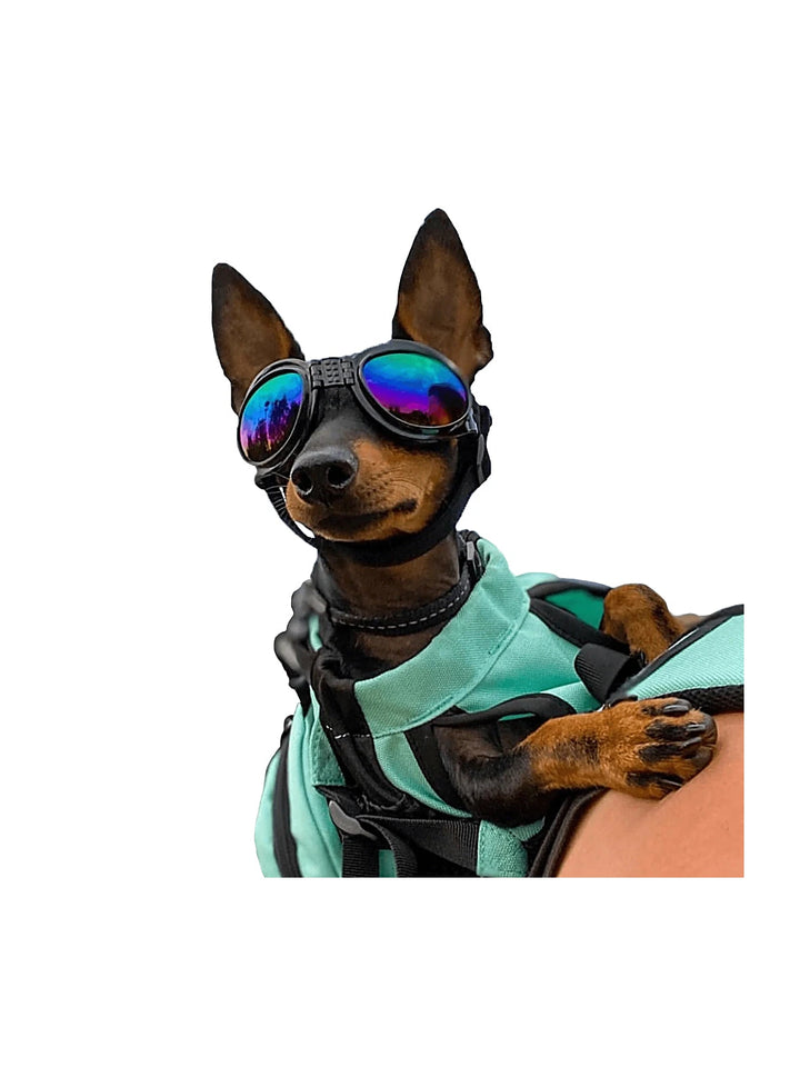 K9 Sport Shades - Dog Goggles