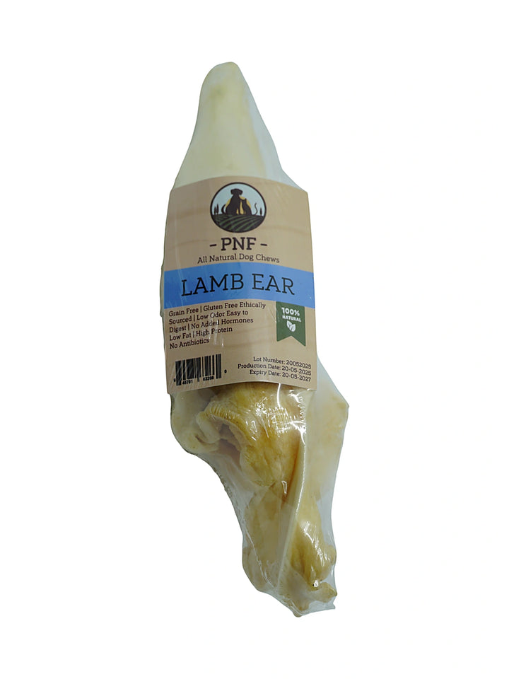Lamb Ear
