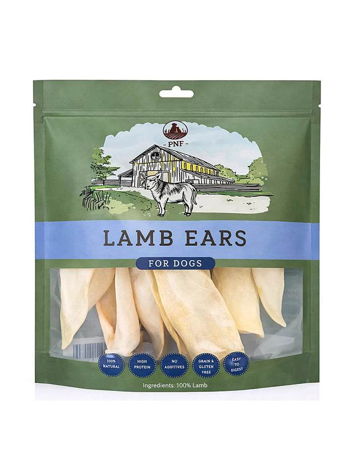 Lamb Ear