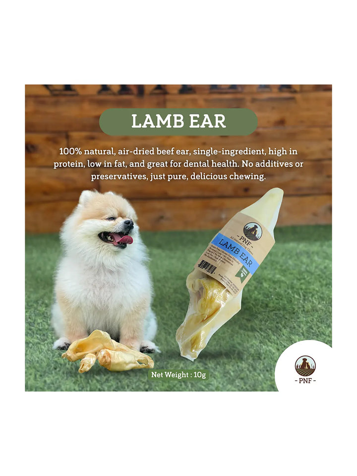 Lamb Ear