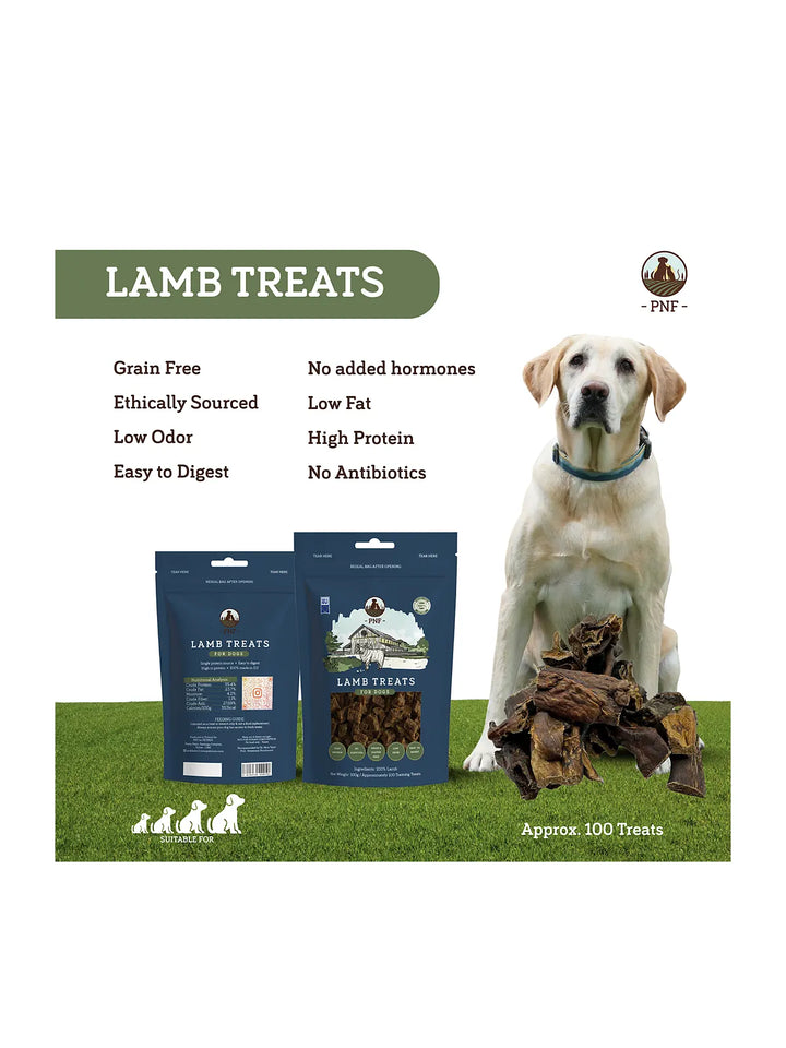 Lamb Training Treats 100g