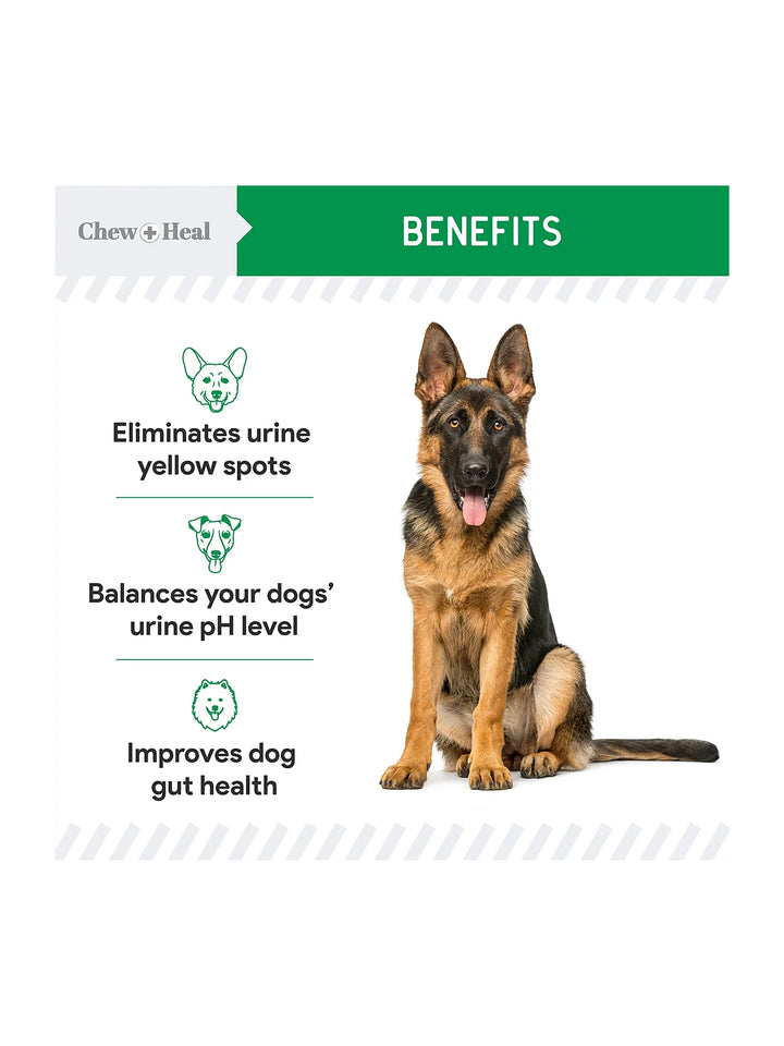 Lawn Saver Soft Chew Lawn Protection Supplement for Dogs