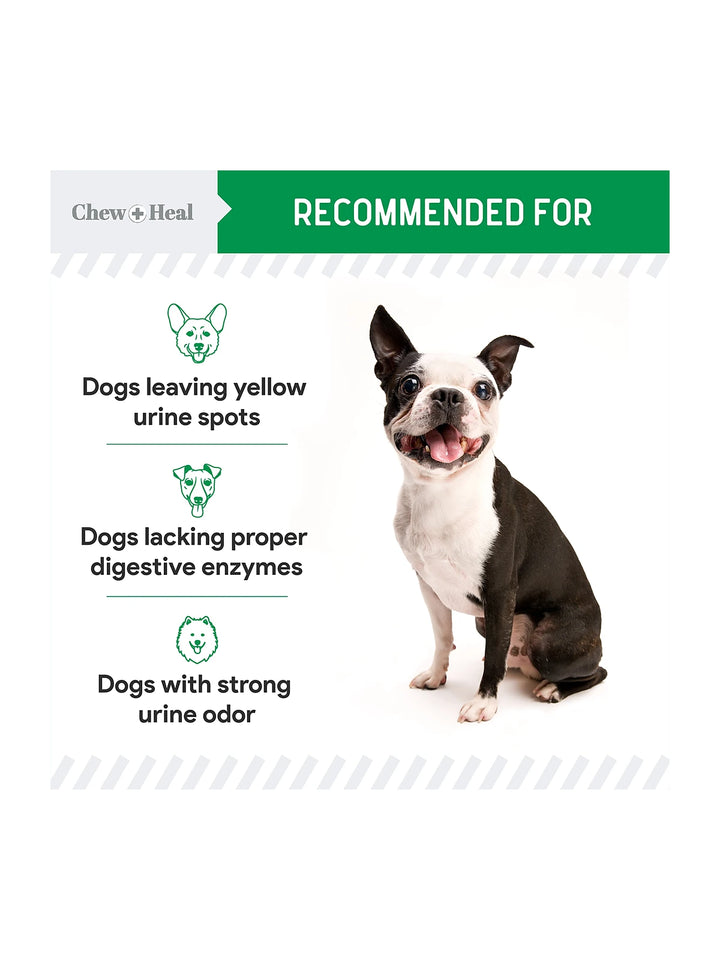 Lawn Saver Soft Chew Lawn Protection Supplement for Dogs