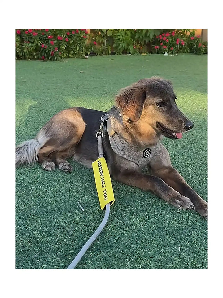 Leash Sleeves - For Training & Nervous Dogs