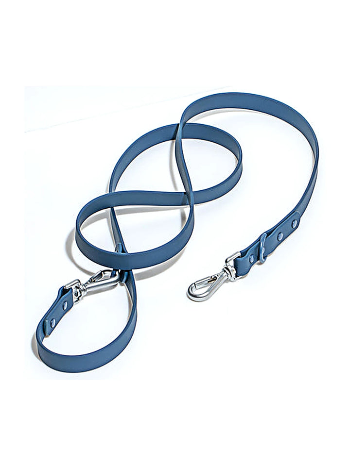 Wild one Dog Leash