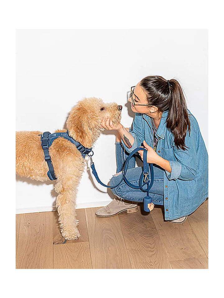 Wild one Dog Leash