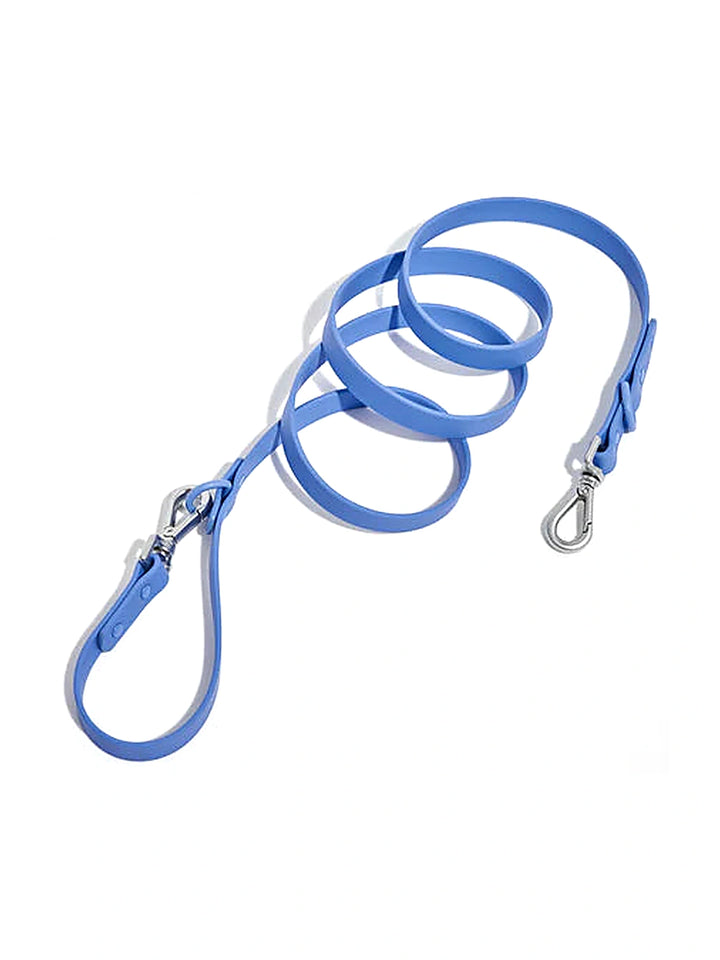 Wild one Dog Leash